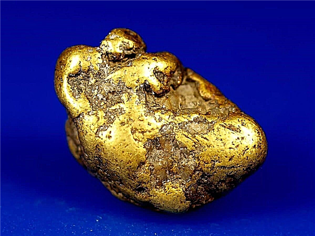 Top 10 des plus grosses pépites d'or au monde