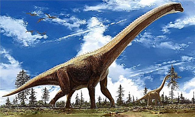 世界で最大の恐竜トップ10