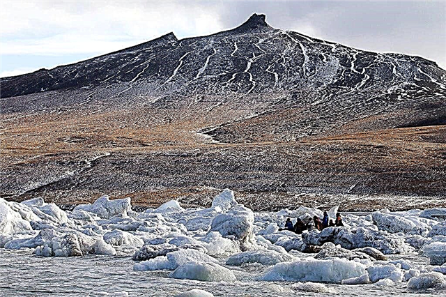 10 sự thật thú vị về đảo Wrangel - khu bảo tồn độc đáo của Nga