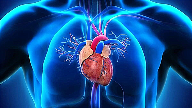10 interessante Fakten über das Herz - eines der wichtigsten Organe des Menschen