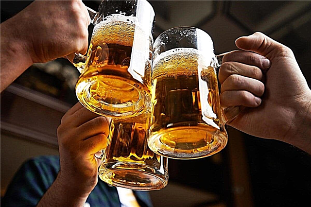 10 interessante Fakten über Bier - eines der beliebtesten Getränke der Welt