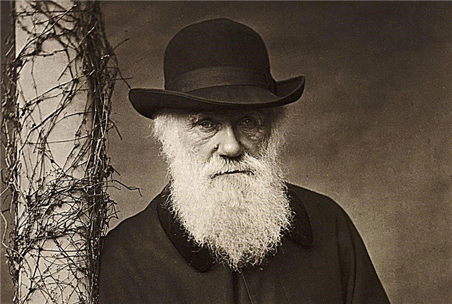 10 interesting facts about Charles Darwin, the scientist who revolutionized the world of science