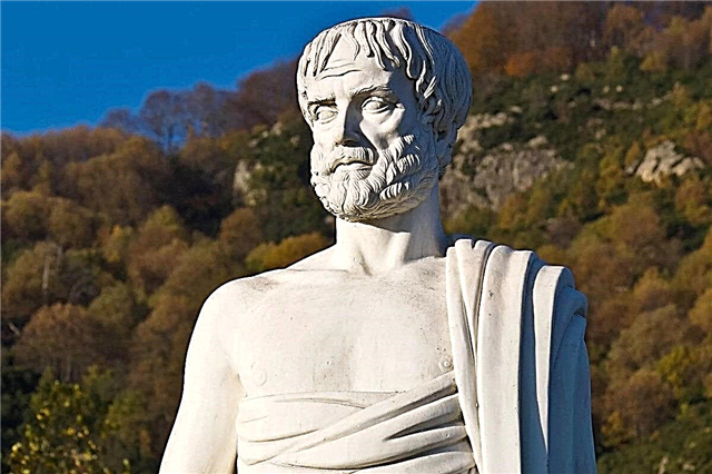 10 fatos interessantes sobre Aristóteles - o maior filósofo