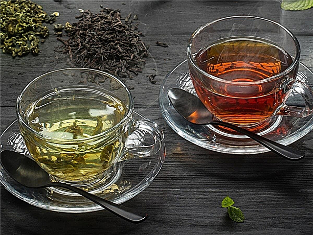 10 fatos interessantes sobre o chá - a bebida mais popular do mundo