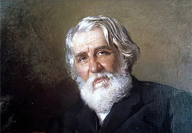 10 interesting facts about Ivan Turgenev - a classic of Russian literature of the second half of the XIX century