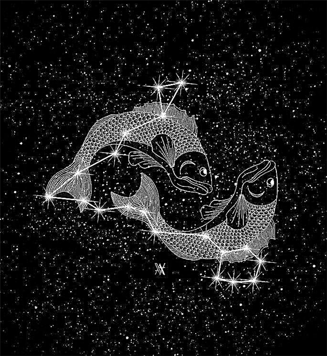 10 fatos interessantes sobre a constelação de Peixes e sua história lendária