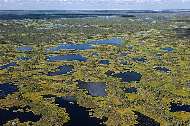 Os 10 principais fatos interessantes sobre os pântanos de Vasyugan