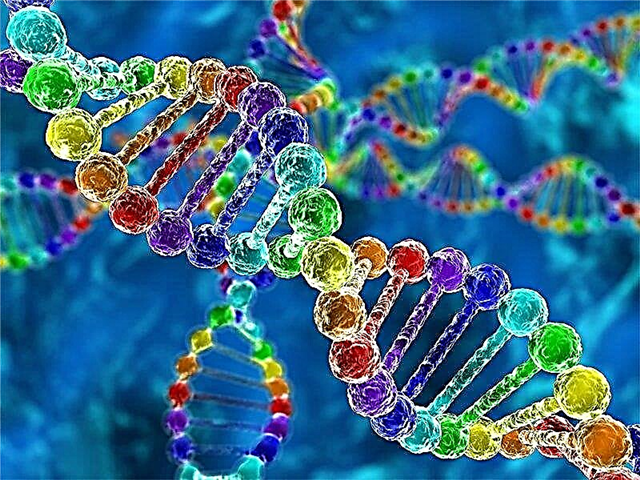 أهم 10 حقائق مثيرة للاهتمام حول علم الوراثة