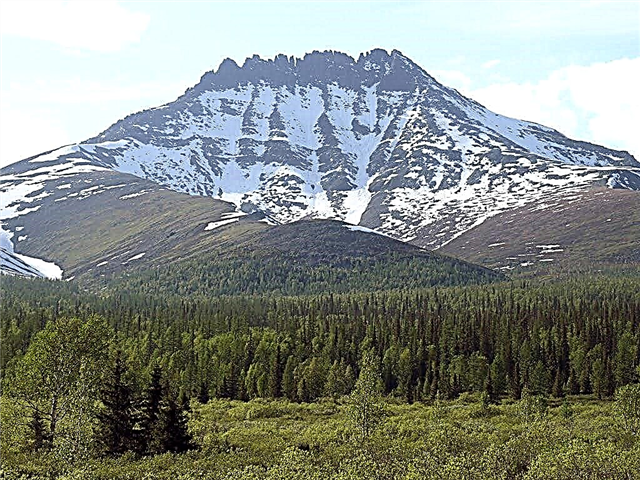 Top 10 des points les plus élevés des montagnes de l'Oural