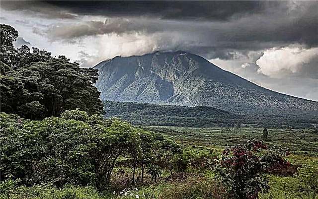 Las 10 montañas más altas de África