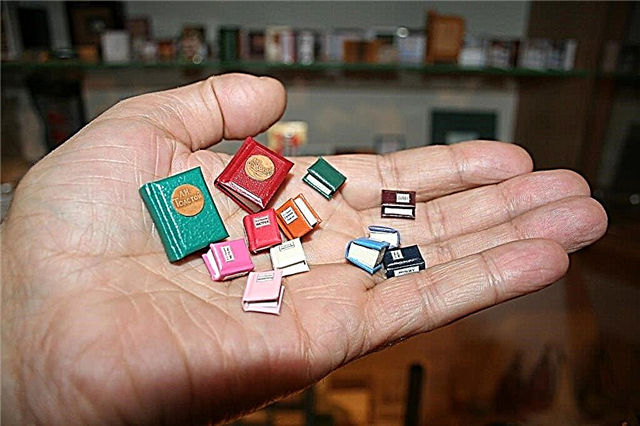 Top 10 nejmenších knih na světě - neuvěřitelné záznamy