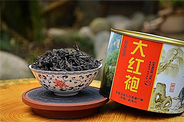 Top 10 najdrahších čajov na svete a vlastnosti ich výroby