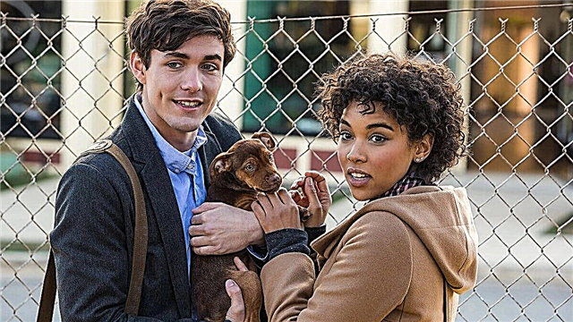 10 movies about the adventures of pets, similar to the "Way Home" 2019