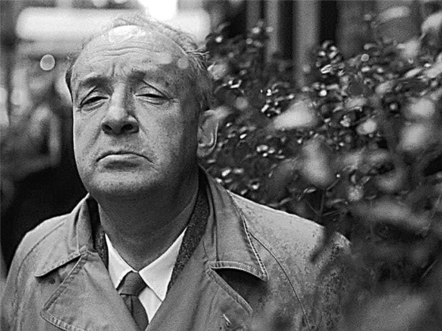 10 most famous works of Vladimir Nabokov