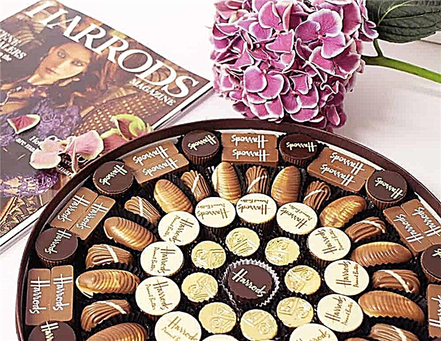 Top 10 manufacturers of the most expensive chocolate in the world