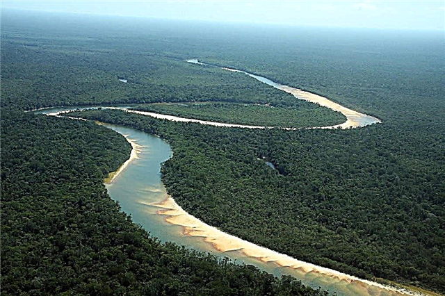 Top 10 der längsten Flüsse Südamerikas
