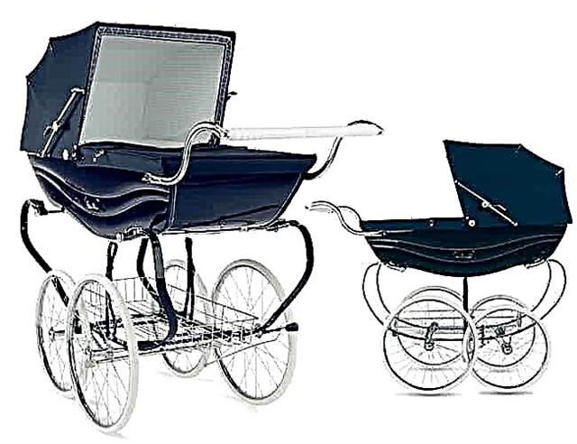 Top 10 most expensive baby strollers