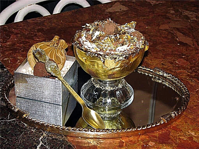 Top-10 of the most expensive ice cream in the world, which only the “elite” can afford