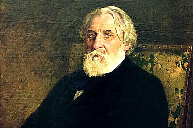 10 most famous works of Turgenev