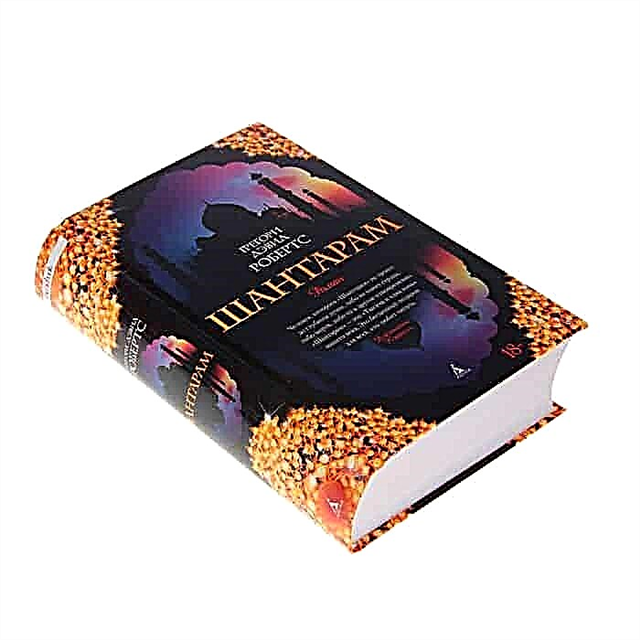 10 књига сличних Схантарам-у