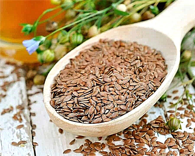 10 reasons to eat flax seeds every day