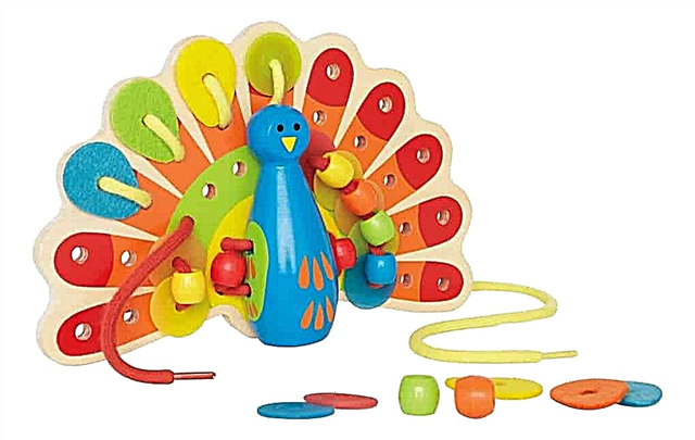 10 mest användbara pedagogiska leksaker för barnet
