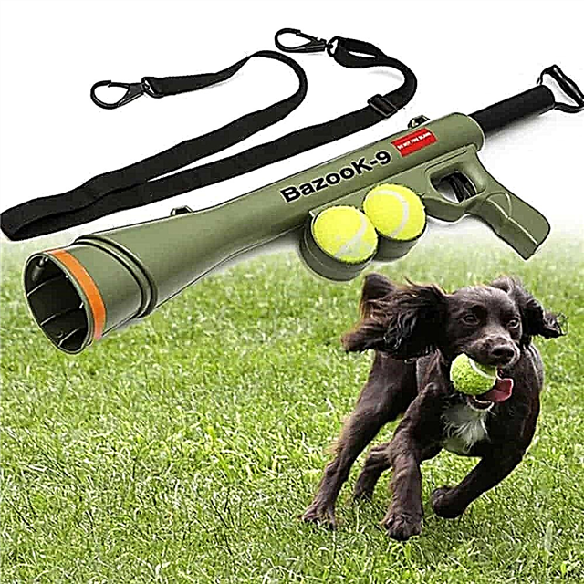 10 useful pet devices with Aliexpress