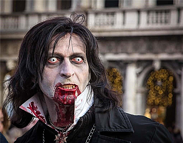 10 interessante feiten over vampiers
