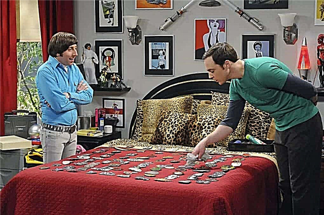 10 little-known facts about the series "The Big Bang Theory"