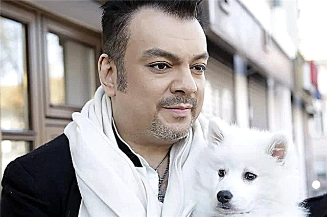 Top 10 breeds of dogs that give birth to celebrities