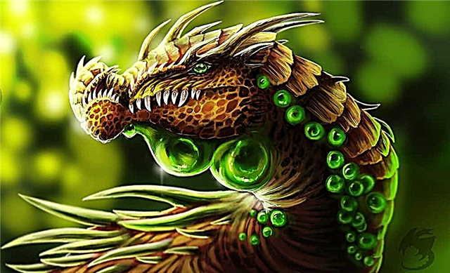 10 principaux types de dragons
