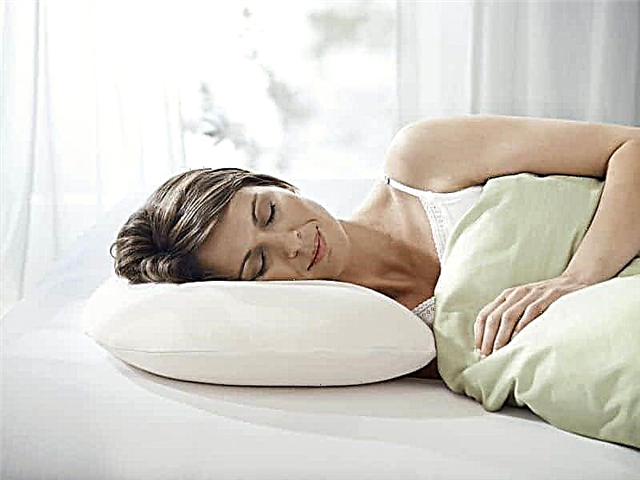 Top 10 best orthopedic pillows