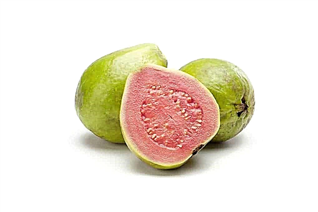 10 exotic fruits to try