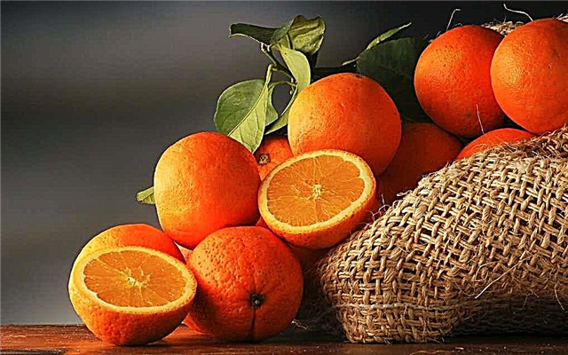 10 fruits d'hiver les plus sains