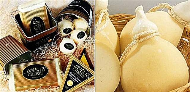 Top 10 most expensive cheeses