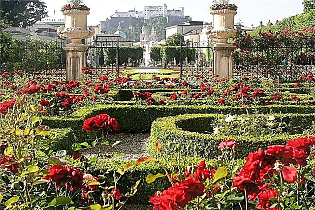 10 najpiękniejszych ogrodów na świecie