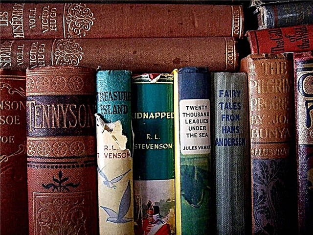10 best books in English for those who are just starting to learn the language