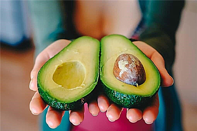 10 reasons why you should eat avocados more often