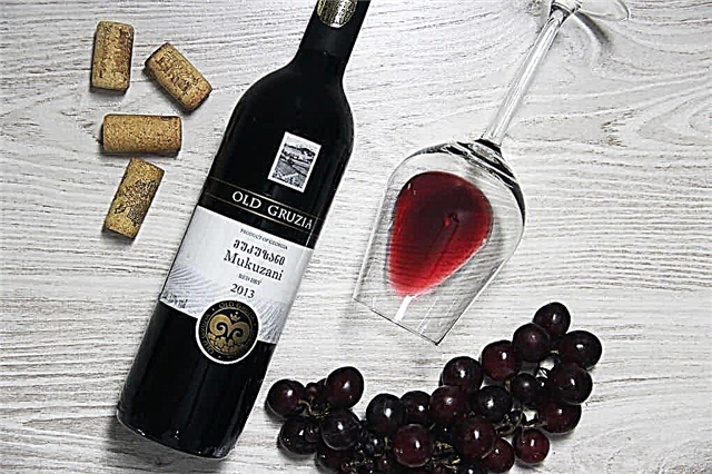 Top 10 best Georgian wines