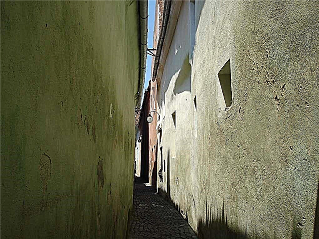 Top 10 narrowest streets
