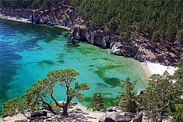 The most interesting facts about Lake Baikal