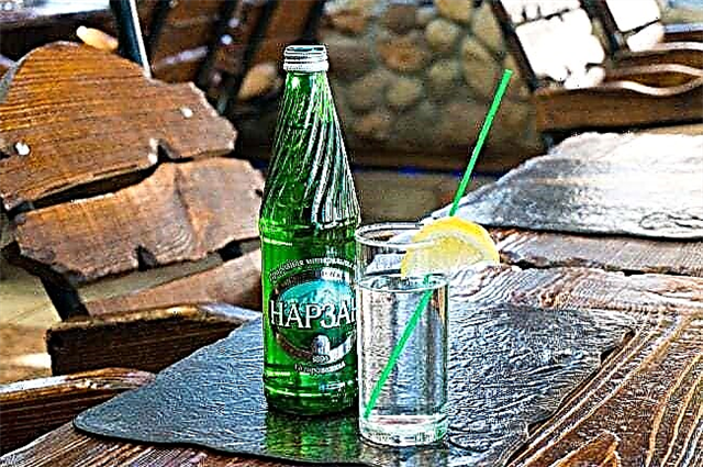 The best mineral water in Russia