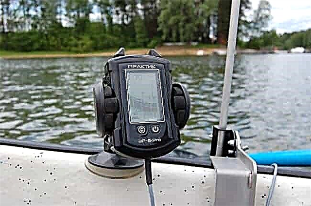 Rating of echo sounders for fishing from a boat