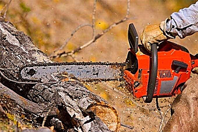 Chainsaw rating by quality and reliability