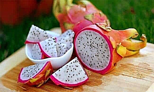 Top 10 Exotic Fruits of Thailand