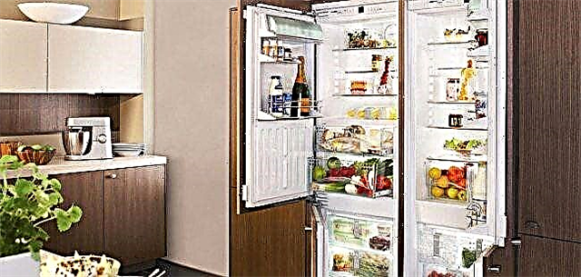 The best know frost refrigerators of 2017