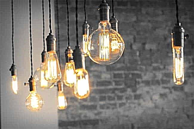 The most economical light bulbs for the home