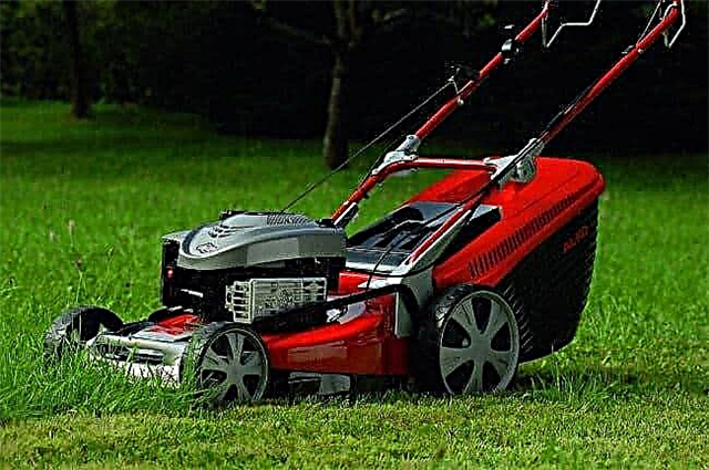 Self-propelled lawn mowers rating