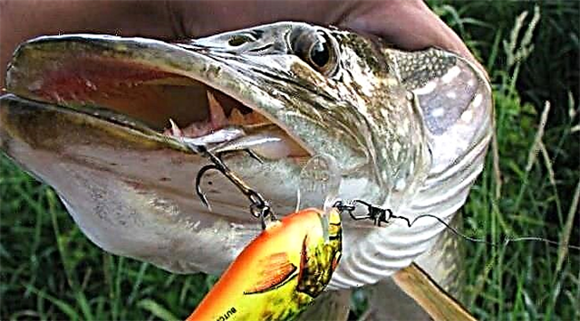Top 10. Best pike wobblers for 2019