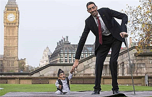 Top 10 tallest people in the world